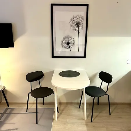 Apartment Yksioe Jyvaeskylaessae Jyväskylä