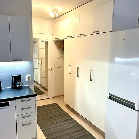 Yksioe Jyvaeskylaessae Savela Jyväskylä