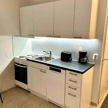 Yksioe Jyvaeskylaessae Savela *